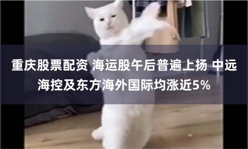 重庆股票配资 海运股午后普遍上扬 中远海控及东方海外国际均涨近5%